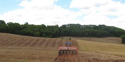 Clima favorece plantio de grãos de verão