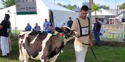 Secretaria da Agricultura publica regulamento geral da 47ª Expointer    