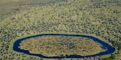 Rota dos Butiazais é oficializada em Tapes