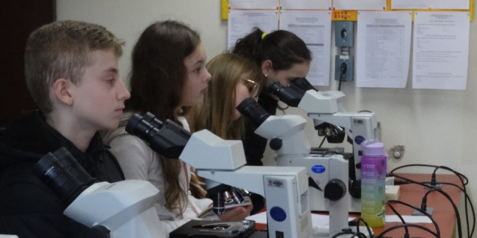 Projeto 'Escola na Universidade' leva alunos do ensino fundamental e médio para o laboratório de microscopia na FURG-SLS