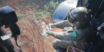 Cinco milhões de sementes são lançadas de helicóptero em ação de revegetação de encostas no Vale do Taquari