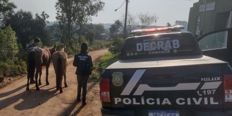 Decrab de Camaquã recupera cavalos que haviam sido furtados no interior de Chuvisca