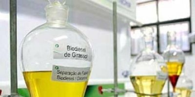 Biorrefinaria em Campo Novo deverá gerar R$ 177 milhões em ICMS por ano
