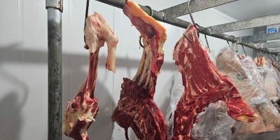 MPRS apreende 700 kg de carne imprópria para o consumo em Canguçu