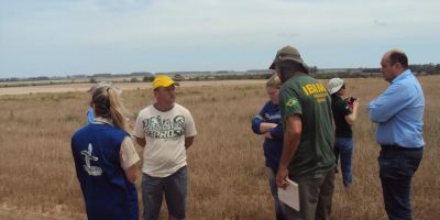 Ibama entrega jazida a proprietário na BR-116 em Pelotas