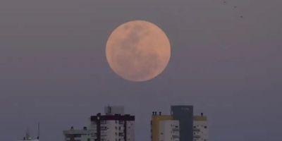 Primeira Superlua de 2024 pode ser vista nesta segunda-feira (19) 