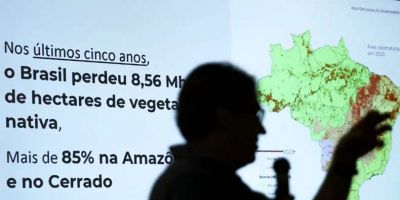 Brasil já perdeu 33% das áreas naturais de seu território