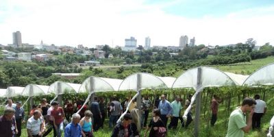 Produtores camaquenses visitam Tecnovitis em Bento Gonçalves 