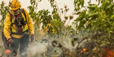 Brasil já registou mais de 154 mil focos de calor este ano