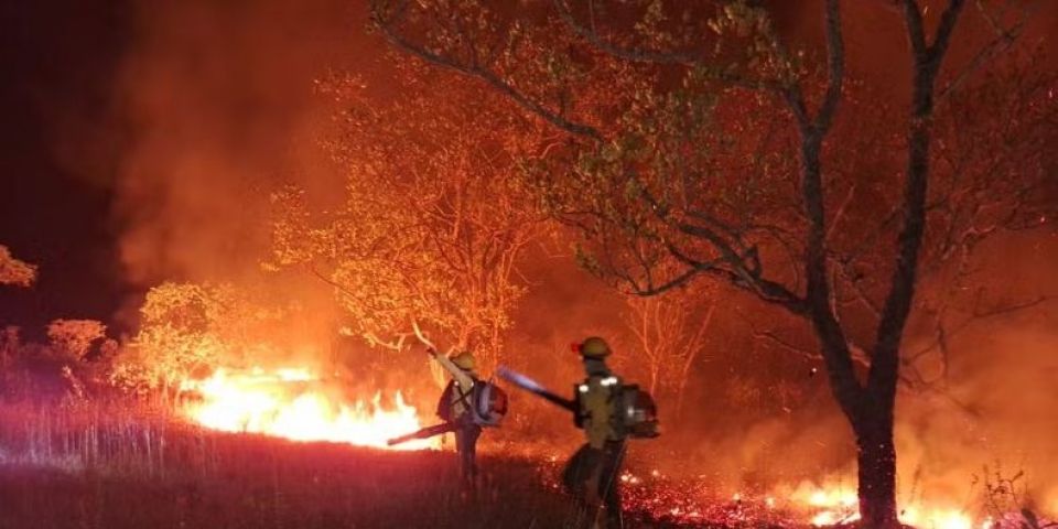 Brasil tem o maior número de queimadas desde 2010: como a fumaça afeta a saúde do coração?