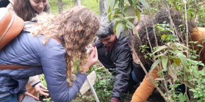 Alunos de agroecologia da FURG-SLS desenvolvem projetos para resolver desafios em agroecossistemas familiares