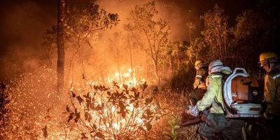 Brasil teve 11,39 milhões de hectares atingidos pelo fogo este ano