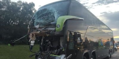 Motorista morre em colisão entre ônibus e caminhão na freeway