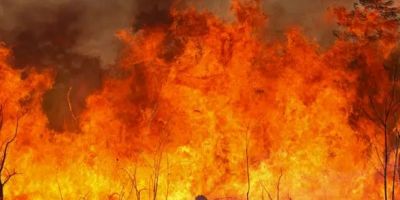 Entenda as linhas de investigação dos incêndios florestais no Brasil