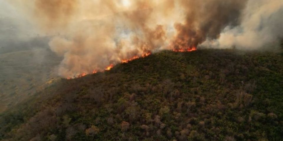 Incêndios e seca na Amazônia e no Pantanal batem marcas históricas 