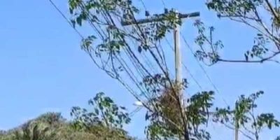 VÍDEO: situação de poste que sustenta rede de energia elétrica causa apreensão em Arambaré