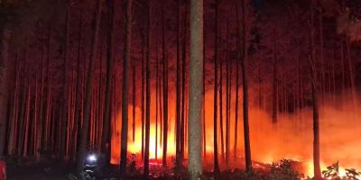 Bombeiros Voluntários combatem incêndio de grandes proporções em mato de pinus em Tapes