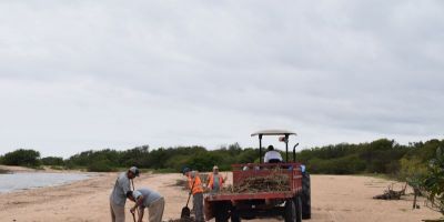 Tapes: limpeza das praias está sendo feita para a temporada de verão