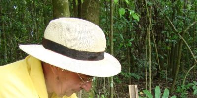 Camaquã avança no Programa de Revitalização da Cultura da Erva Mate