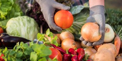 Feira do Produtor Rural começa nesta sexta (22) em Barra do Ribeiro