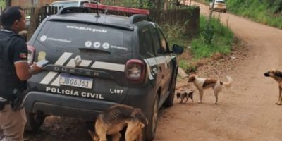 Homem é preso suspeito de estuprar menina de sete anos no interior de Camaquã