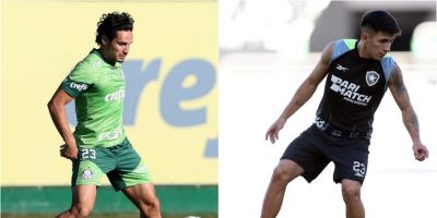 Palmeiras e Botafogo se enfrentam em final antecipada do Brasileirão