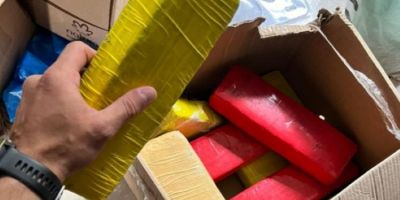 Estufa clandestina para fabricação de drogas é descoberta em São Jerônimo