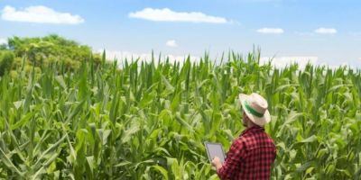 Lei que autoriza R$ 500 milhões para agricultura familiar é sancionada 