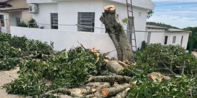 Forte temporal causa estragos em Encruzilhada do Sul