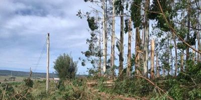 Mais de 60 horas após tempestade, moradores de Camaquã ainda estão sem luz