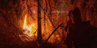Área queimada no Brasil até novembro quase dobra em relação a 2023