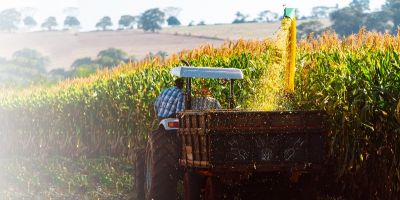 Desenrola Rural: programa avança no Senado