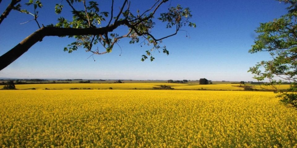 Verão terá redução de chuvas no Rio Grande do Sul