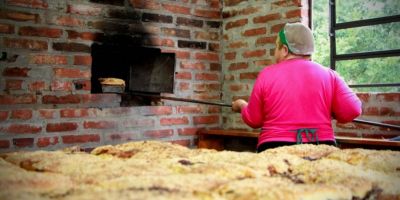 Modos de fazer cuca artesanal podem se tornar patrimônio cultural imaterial do RS