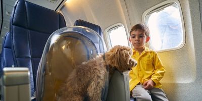 Advogado explica regras para viagens aéreas com pets