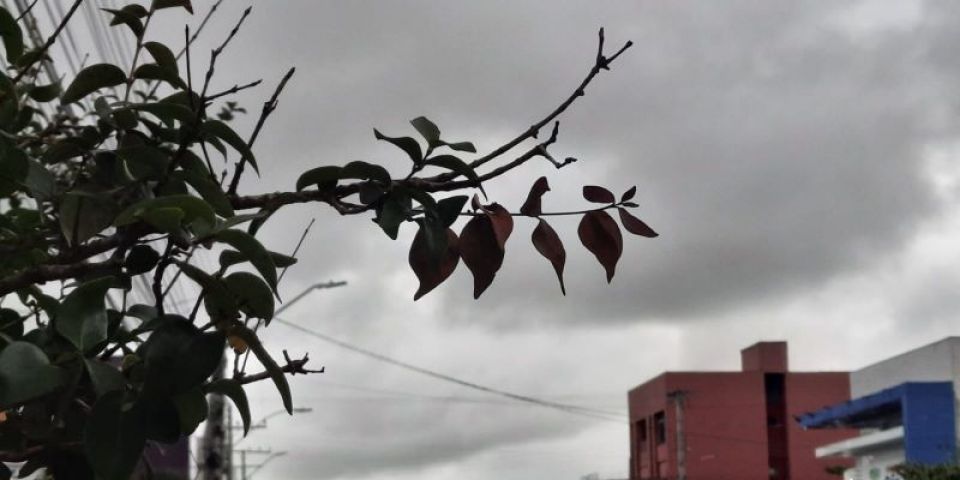 2025 deverá começar com chuva e chances de relâmpagos e trovoadas em Camaquã