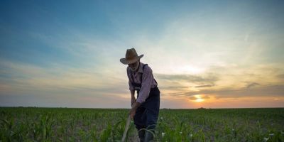 Aposentadoria híbrida: qualquer pessoa pode se aposentar trabalhando no meio rural e urbano