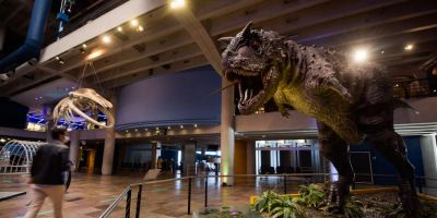 Museu da PUCRS tem programação especial para o verão