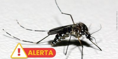 Temporada de verão acende alerta para a dengue no RS