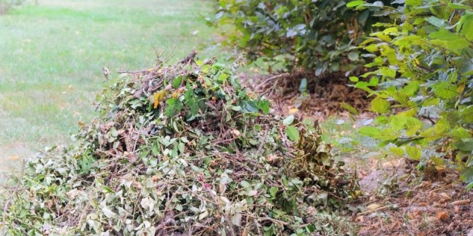 Cronograma para o recolhimento de galhos e entulhos está disponível de segunda a quinta em Tapes