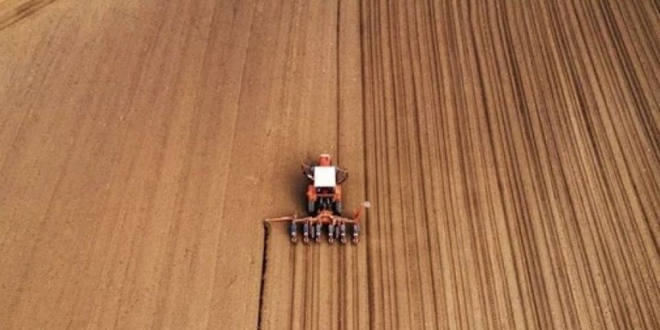 Exportações do Rio Grande do Sul atingem US$ 21,9 bilhões em 2024