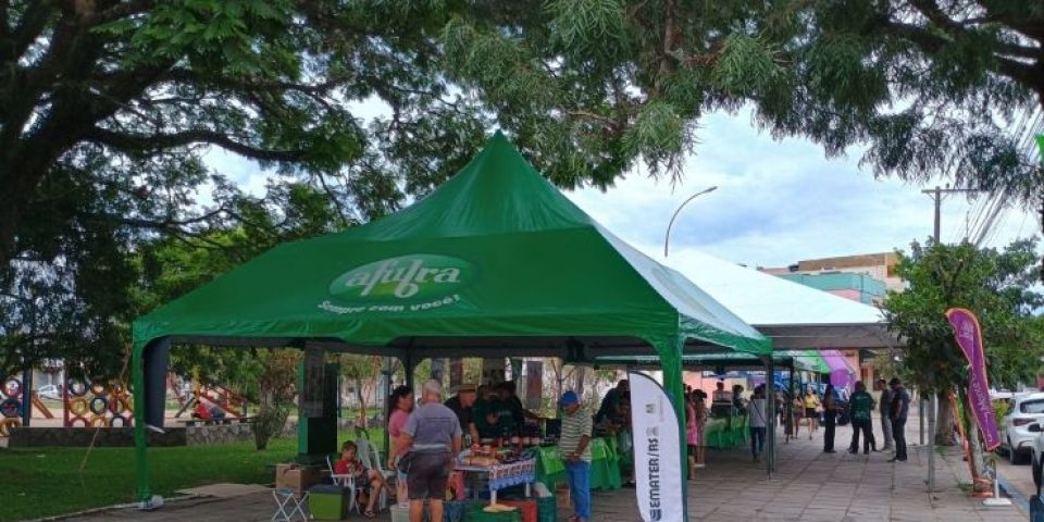 FOTOS: VI Mostra da Viticultura de Camaquã acontece na Praça Zeca Netto