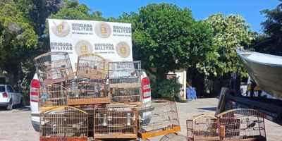 Mais de 30 pássaros são apreendidos pela Patram no centro de Camaquã