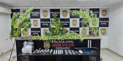Plantas de maconha são apreendidas pela PC em Porto Alegre