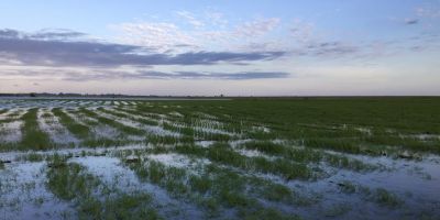 Irga entrega relatório sobre situação das lavouras ao ministro da Integração