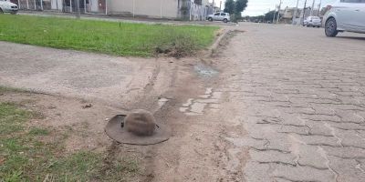 Morre catador de recicláveis que foi atropelado no fim do ano passado em Camaquã