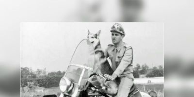 Carlos Miranda, o Vigilante Rodoviário, morre em São Paulo 