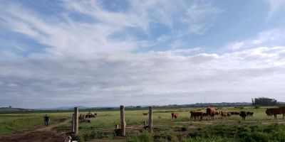 Com objetivo de esclarecer ocorrência de apropriação de gado, Decrab realiza operação no interior de Camaquã