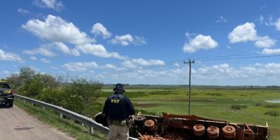  Homem morre após carreta sair da pista na BR-116 no Sul do RS