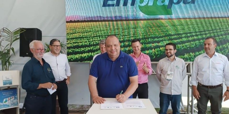 Irga assina protocolo de intenções para aperfeiçoamento do aplicativo "PlanejArroz"